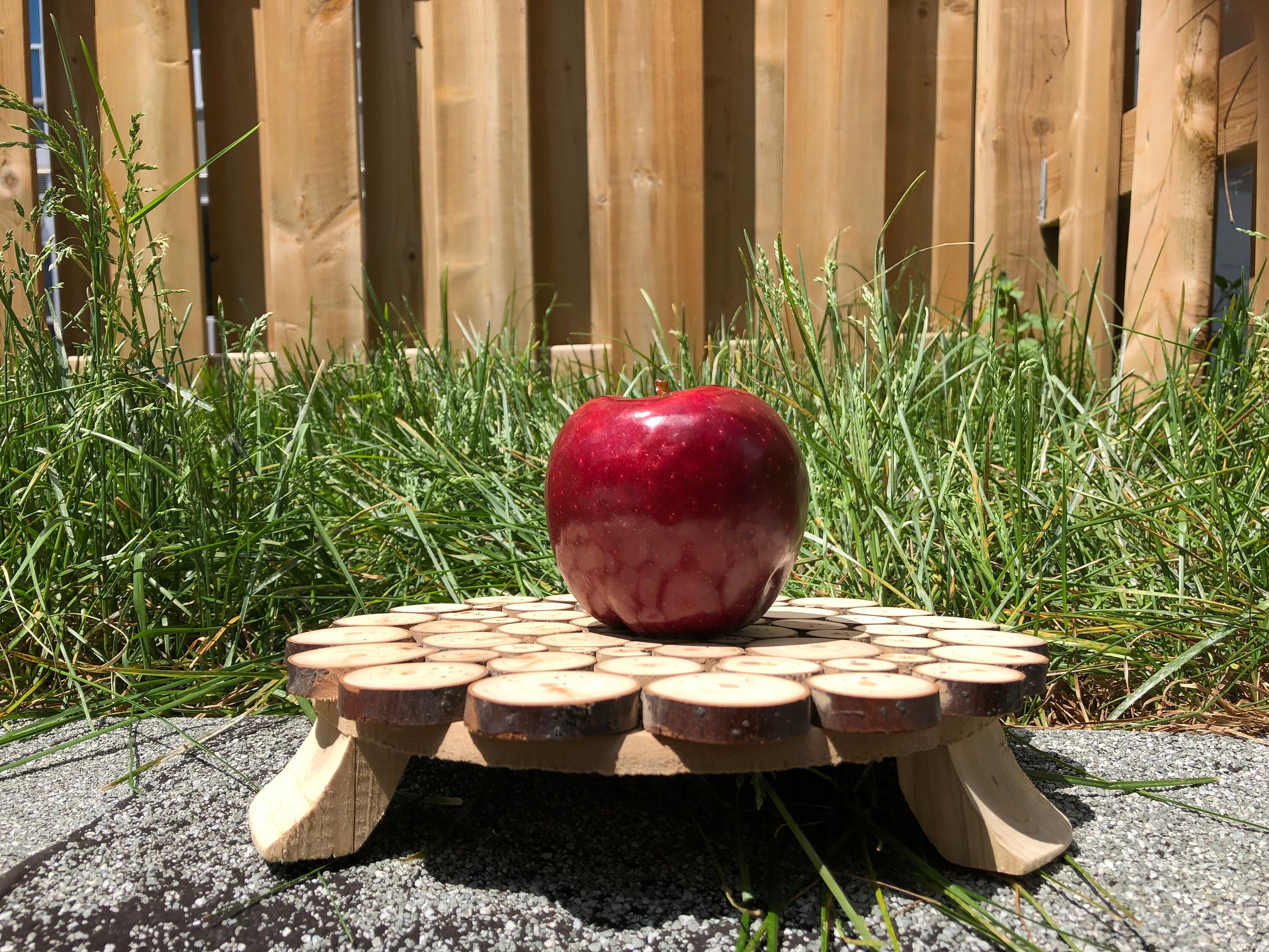 Handmade Wood Chip Decor Stand Wooden Stand Rustic Display Etsy Canada