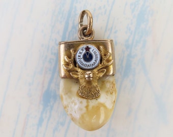 Vintage 10k yellow gold Order of the Elks tooth pendant Bill Lilley Cody WY lodge 1611