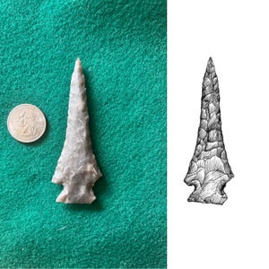 May include: A gray stone arrowhead with a sharp point and a notched base, next to a US quarter coin. The arrowhead is on a green felt surface, with a black and white illustration of the arrowhead.