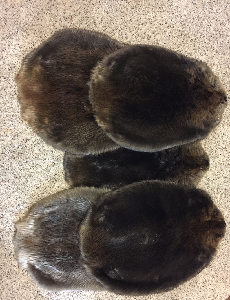Northern Minnesota Beaver Pelt Soft/garment Tanned FREE SHIPPING Hide