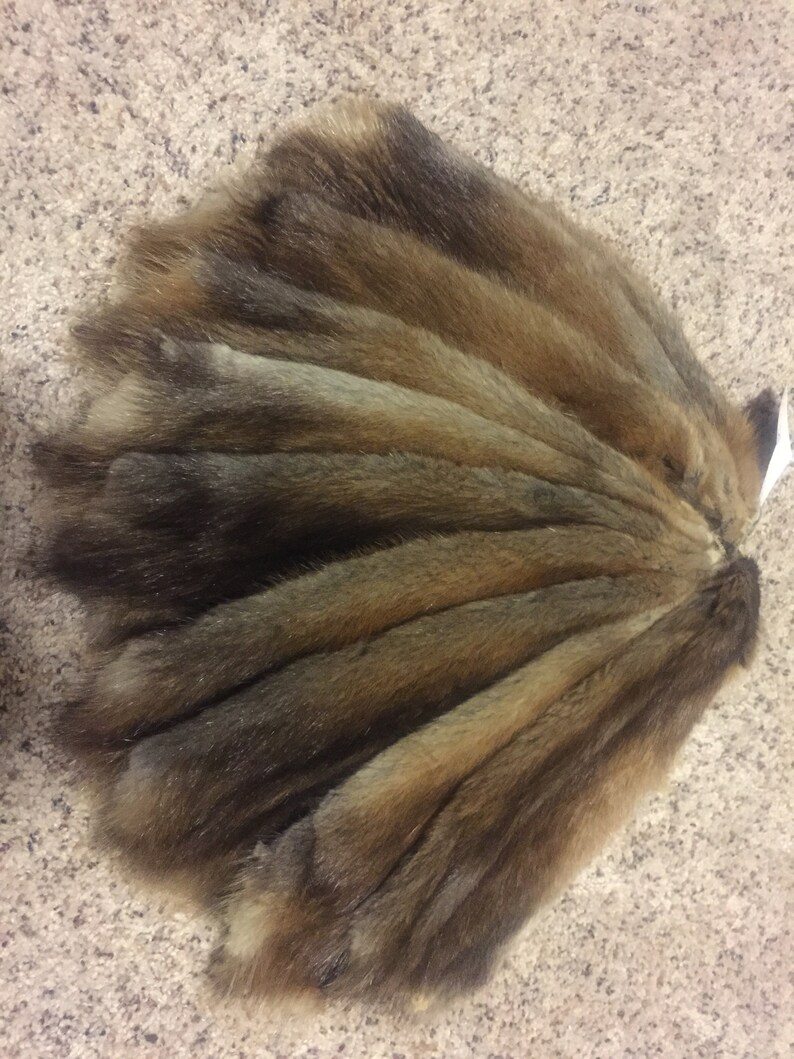 Northern Minnesota Muskrat Pelt Soft/garment Tanned FREE Etsy