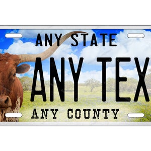 Custom Texas Longhorn Design Any Text Design Novelty Personalized License Plate Tag for Bicycle ATV kids Bike Man Cave Wall Signage