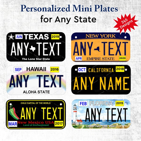 Bicycle Any State License Plate - Personalized kids Bike Pretend Plate - Small Metal Aluminum License Plate - Add Child's Name & Birthday