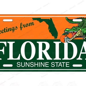 Étiquette de plaque d'immatriculation personnalisée nouveauté Florida Sunshine, souvenir de voyage pour vélo VTT, jouet pour enfants, signalisation murale, souvenir de voyage