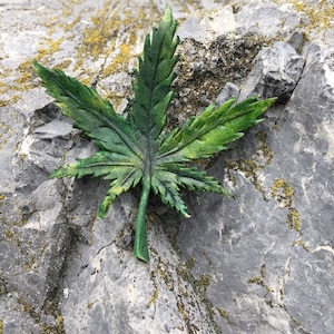 May include: A green and yellow leaf with a pointed tip and serrated edges, resting on a gray rock with yellow moss.