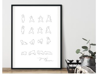 May include: A black and white line drawing of a bear in various yoga poses. The text "yoga bear" is written at the bottom of the image.