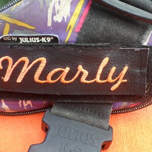 May include: A black dog harness with a purple, yellow and pink patterned fabric. The harness has a black strap with a name tag that says "Marly" in orange thread. The harness has a black buckle with the text "Julius K9" in white.