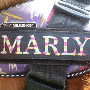 Etiquetas de arnés bordadas personalizadas multicolores: simplemente colóquelas con su arnés, elija el tamaño y los colores preferidos