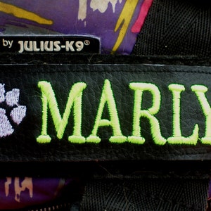 Personalized Dog Harness Label Set: Embroidered Name, Waterproof Faux Leather