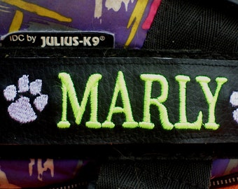 Personalized embroidered harness labels -  set of 2 - choose name & colour - just attach to harness 1 on each side