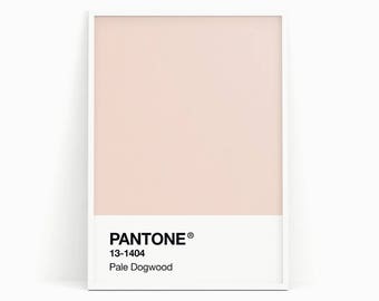 pantone baby pink