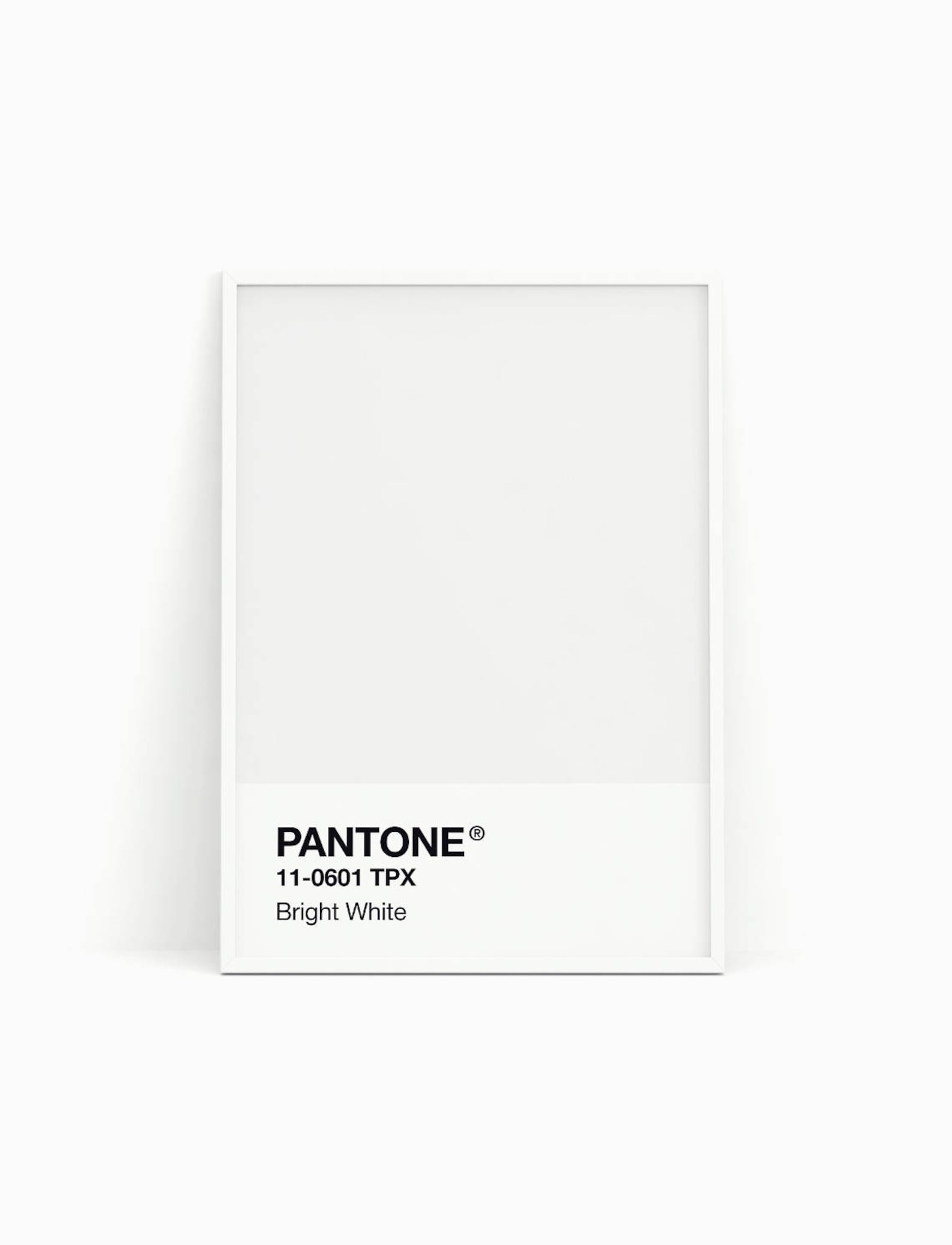pantone pure white - looklux.ru.