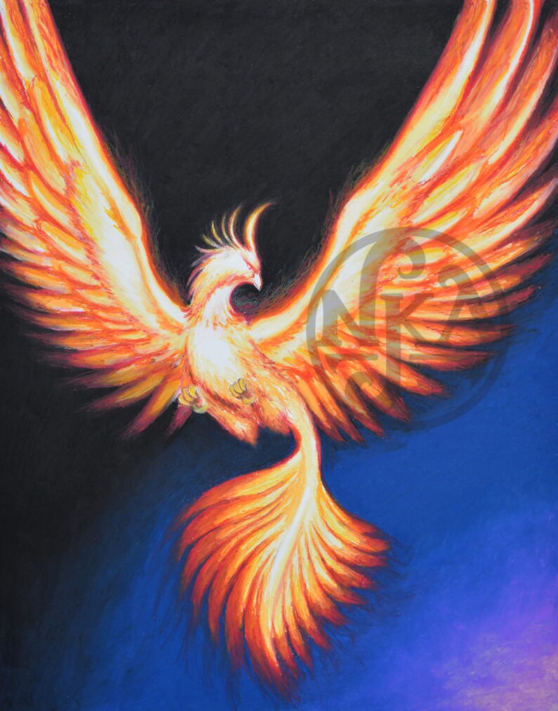 Fire Phoenix Bird Drawing