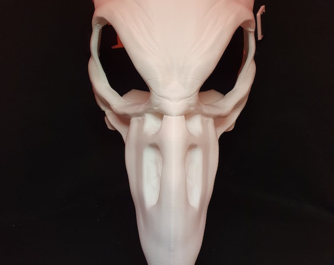 Cosplay Crow Skull Mask Bird Skull Mask Raven Fursuit Animal Mask ...