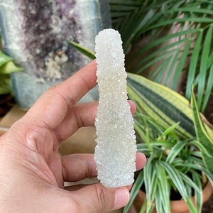 Natural Druisy Quartz With White And Honey Apophyllite Stellectite Crystal.