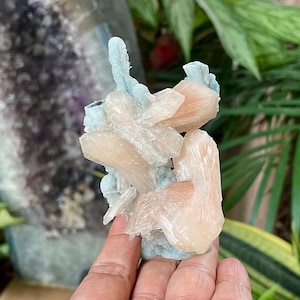 Natural Druisy Chalcedony Crystal With Double Termination Stillbite And Shiny Pastel Pink Hullendite Crystal.