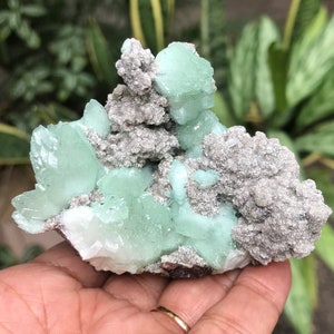 Beautiful Standing Green Apophyllite Crystal On Rough Matrix