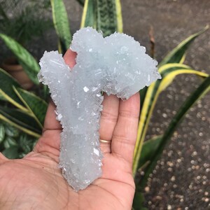 Natural Beautiful Shiny Druisy/ Drusy Multi Apophyllite Points On A Chalcedony.