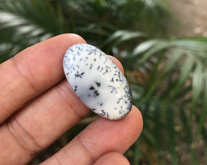 AA Natural Oval ShapeTranslucentSingleLooseGemstone Dendrite Cabochon.