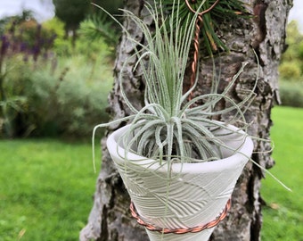 Hand Made in Derbyshire - Porcelain Ceramic Succulent Planter, Tea Light Holder , Herb Garden, Window, Air Plant, Cactus