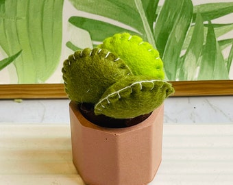 Felt Mini Cacti / Succulent Plant in a Pot