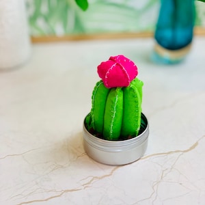 May include: A small green felt cactus with a pink felt flower on top, sitting in a silver tin.