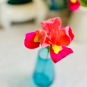 May include: A single pink and yellow flower in a blue vase. The flower has a delicate, layered appearance.