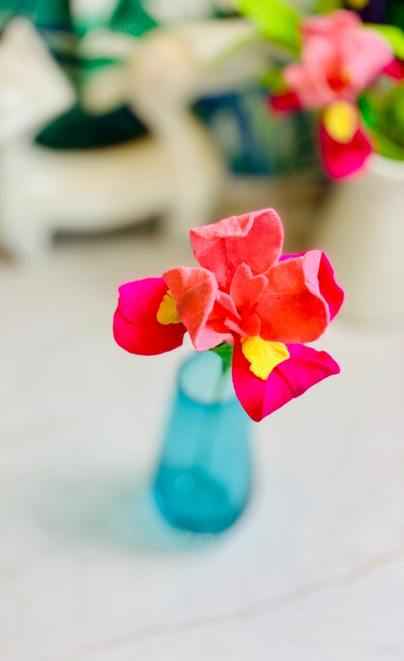 May include: A single pink and yellow flower in a blue vase. The flower has a delicate, layered appearance.