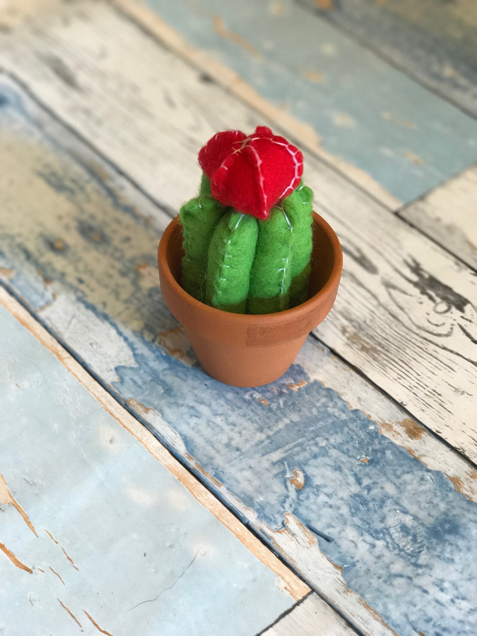 Printable Felt Cactus Tutorial With Pattern - Etsy