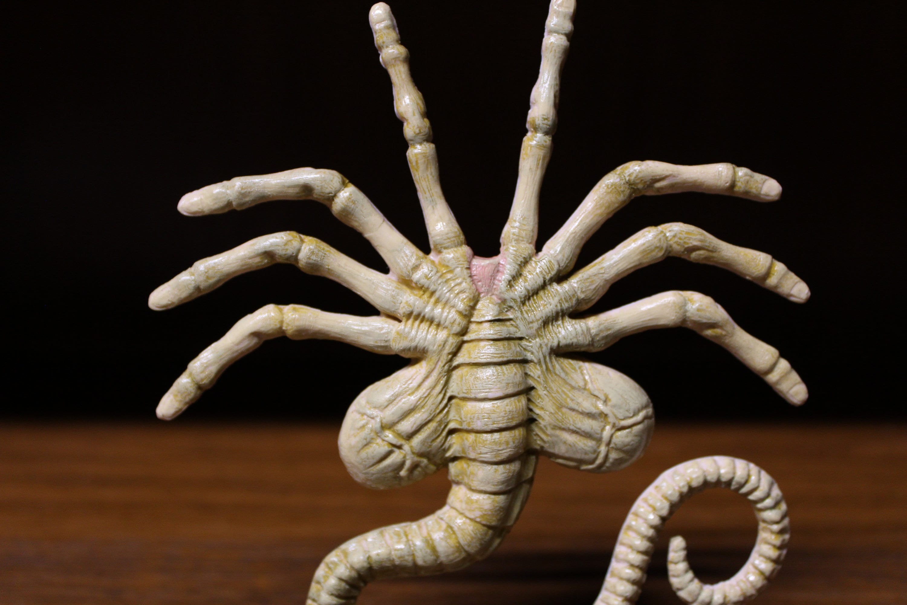 Alien Face Hugger Etsy