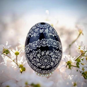 May include: A black decorative egg featuring detailed white floral designs. The egg rests on a pearl base, surrounded by white flowers. A unique Easter or spring decoration, perfect for display.