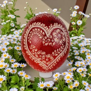 Op de afbeelding: Een groot, rood decoratief ei met een wit bloemenhartontwerp. Het ei staat op een witte standaard en is omgeven door witte madeliefjes met gele centra en groen blad.