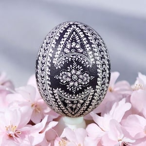 Könnte beinhalten: Ein schwarzes Ei mit aufwendigen weißen Blumenmustern, die auf die Oberfläche gemalt sind. Das Ei steht auf einem Ständer und ist von rosa Blütenblättern umgeben.