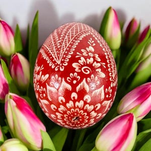 May include: A red Easter egg with a white floral design, surrounded by pink tulips.