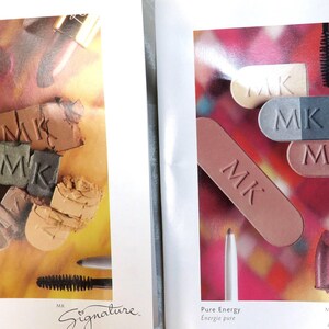 Mary Kay Cosmetic Sample Cards Lipstick Blush eye shadow One-time samples in cards Directions of use for each makeup! 2 Cards Frosted Rose