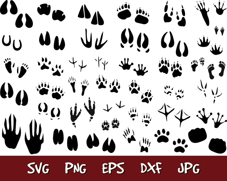 Download Animal Tracks SVG Animal SVG Animal Print Clipart Animal ...