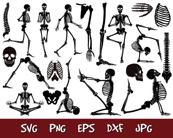 Download Skeleton Svg Halloween Svg Cut Files Skeleton Svg Skeleton Etsy