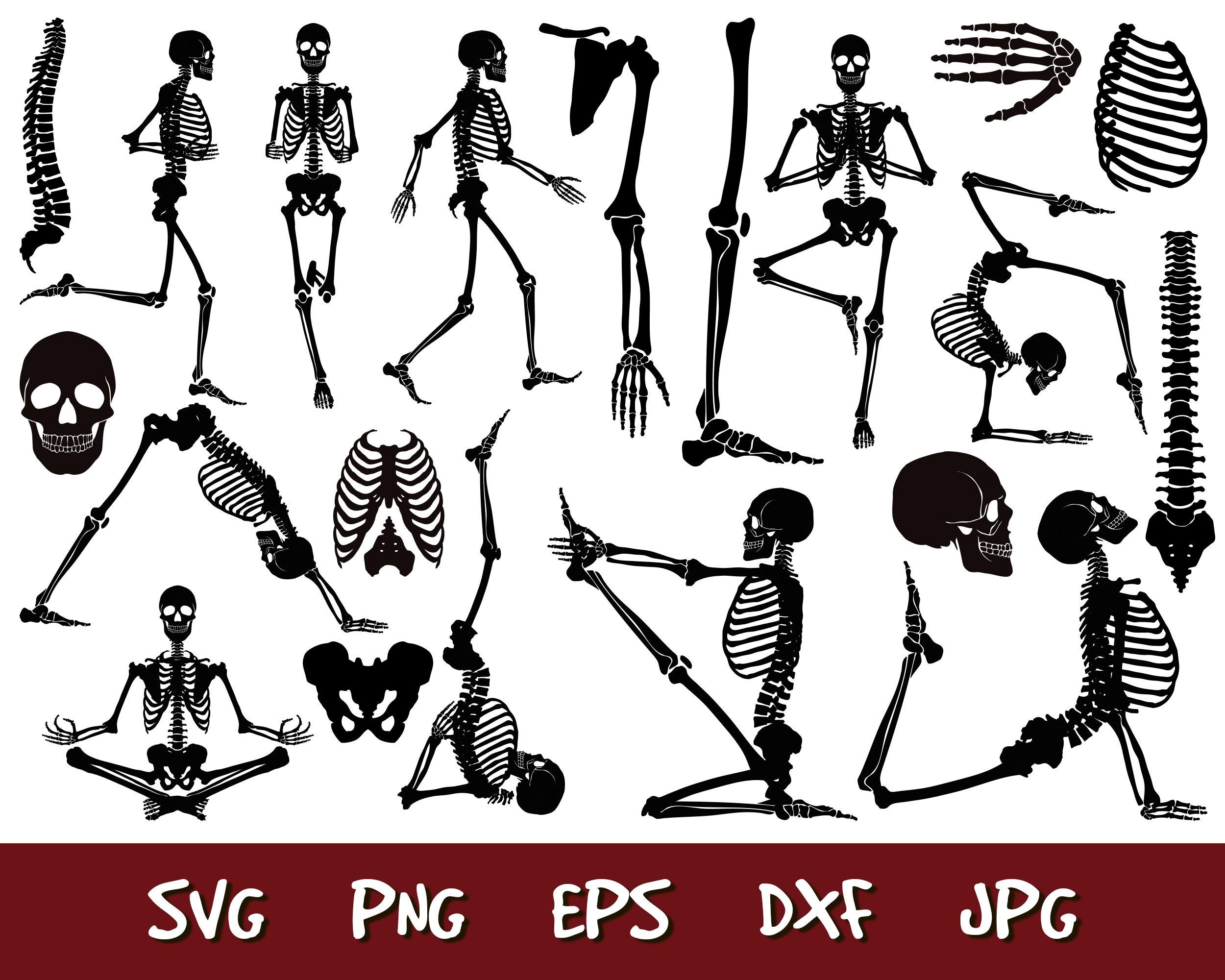 Skeleton Svg Halloween SVG Cut Files Skeleton SVG Skeleton | Etsy