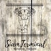 Avatar de SiamTerminal