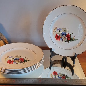 Set de 6 assiettes plates vintages en faïence à décors de fleurs et liseré doré, Moulin des loups Orchies . Made in France 1950.