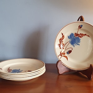 Set of 6 vintage earthenware flat plates with flower decoration. HBCM Montereau. Made in France 1950.