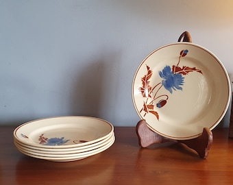 Set of 6 vintage earthenware dinner plates with flower decoration. HBCM Montereau. Made in France 1950.