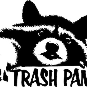 6 x 4 inch Raccoon Trash Panda One Color Decal Window Bumper Sticker Car Decor Wall