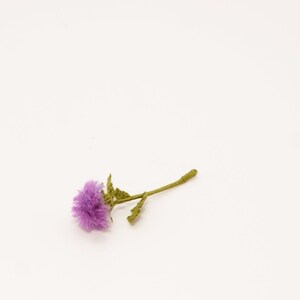 May include: A single purple flower with a green stem and leaves.