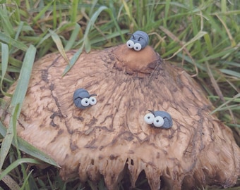 Sletter (woodlouse) - Scobbin Pet