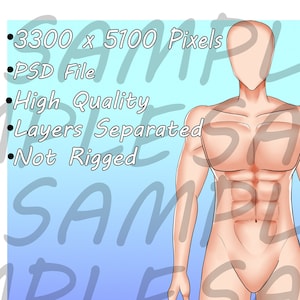 Vtuber Male Body Abs, Body Base, Full Body, Basic Body, Not Rigged Doll, Skin, Nude, Vtube, Streamer, Twitch.tv
