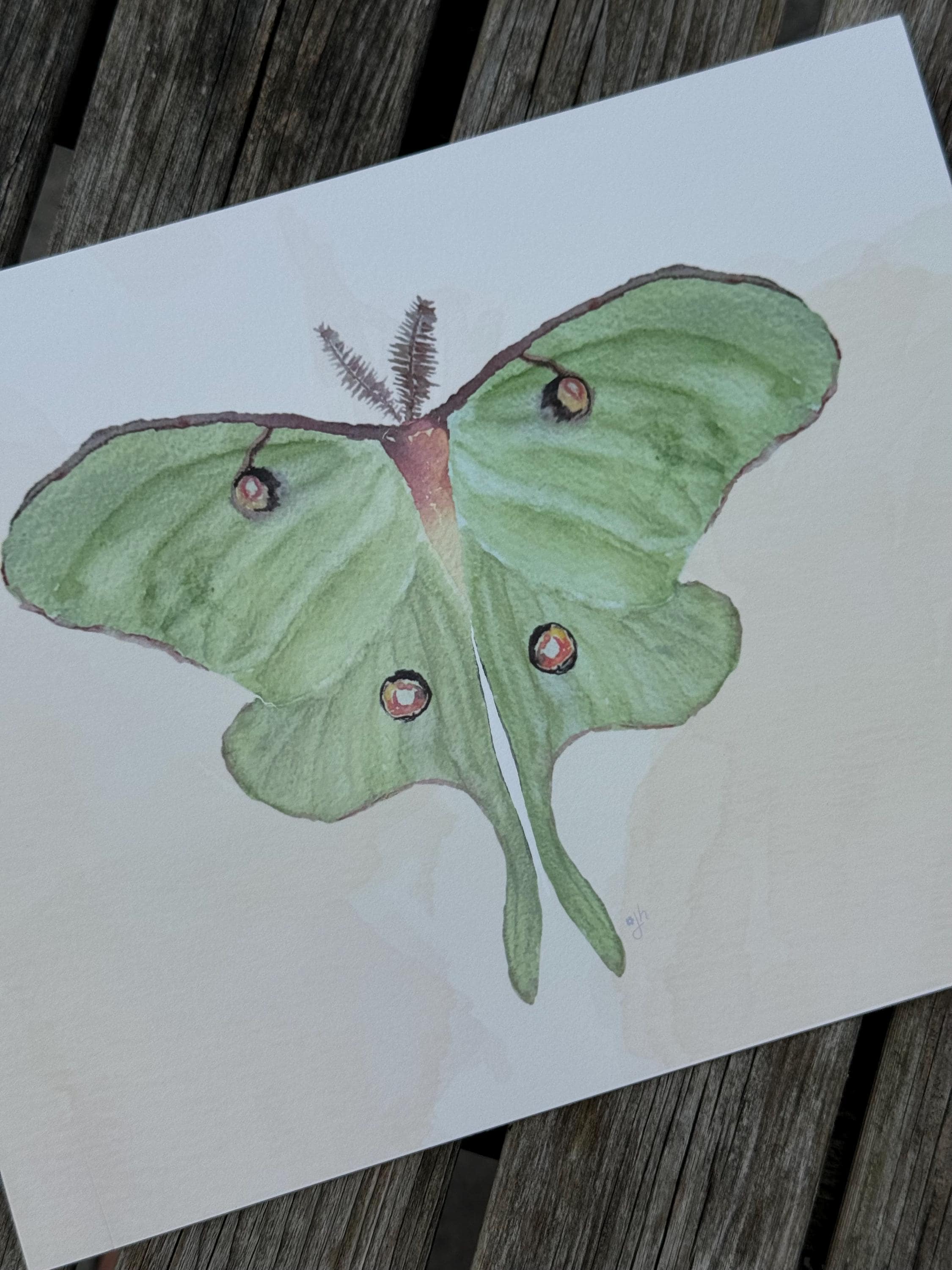 Luna Moth Art Print, Watercolor Hand-painted Art Print, Unframed ...