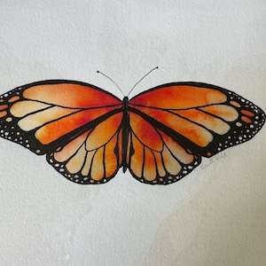 Amazing Monarch butterfly, watercolor hand painted art print, unframed watercolor print, orange and black butterfly