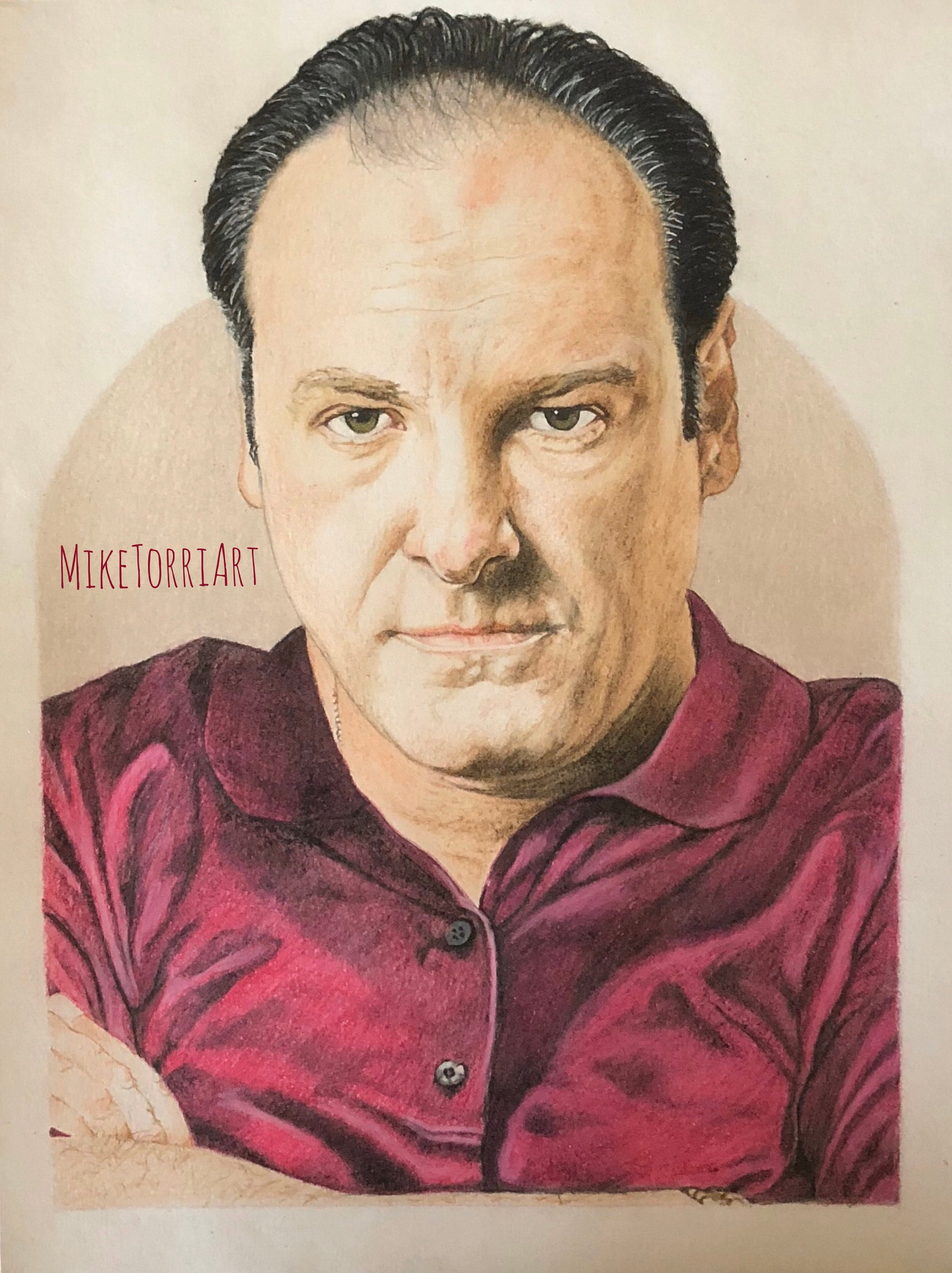 Tony Soprano-james Gandolfini Color Pencil Drawing Print - Etsy