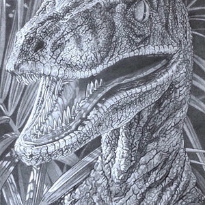 Raptor pencil drawing print